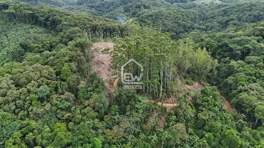 Sítio, 1 quarto, 8 hectares - Foto 4