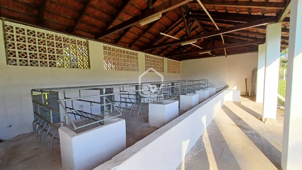 Chácara, 3 quartos, 3 hectares - Foto 11