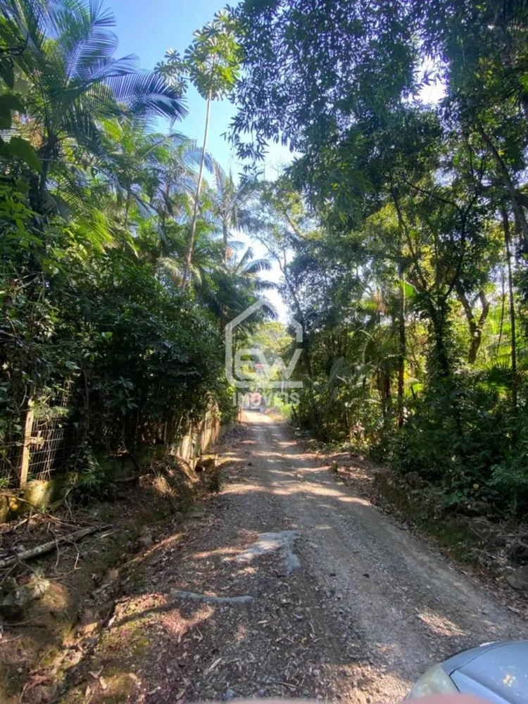 Sítio, 3 quartos, 13 hectares - Foto 12