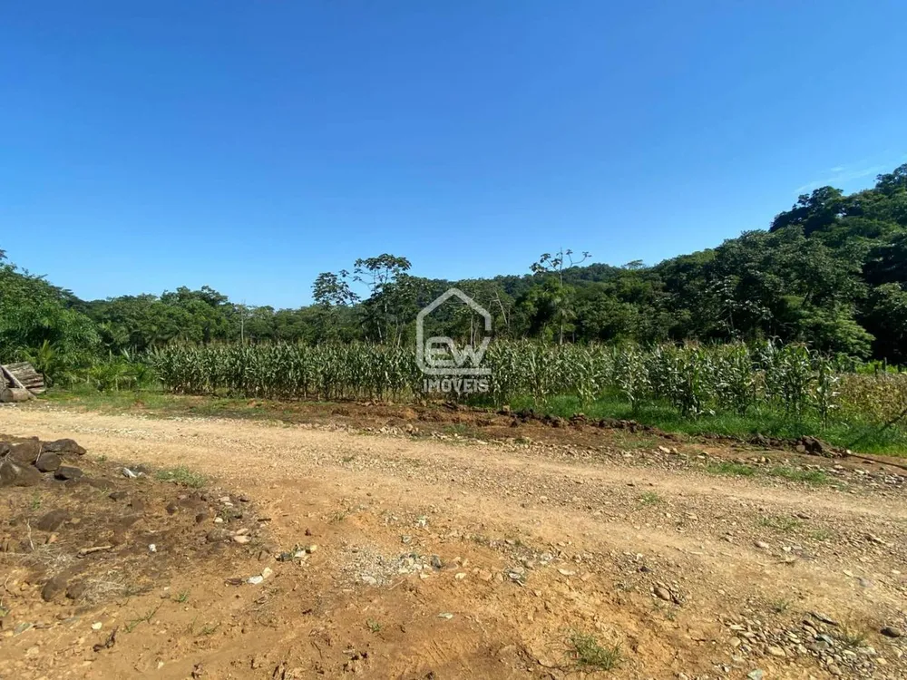 Sítio, 3 quartos, 13 hectares - Foto 3