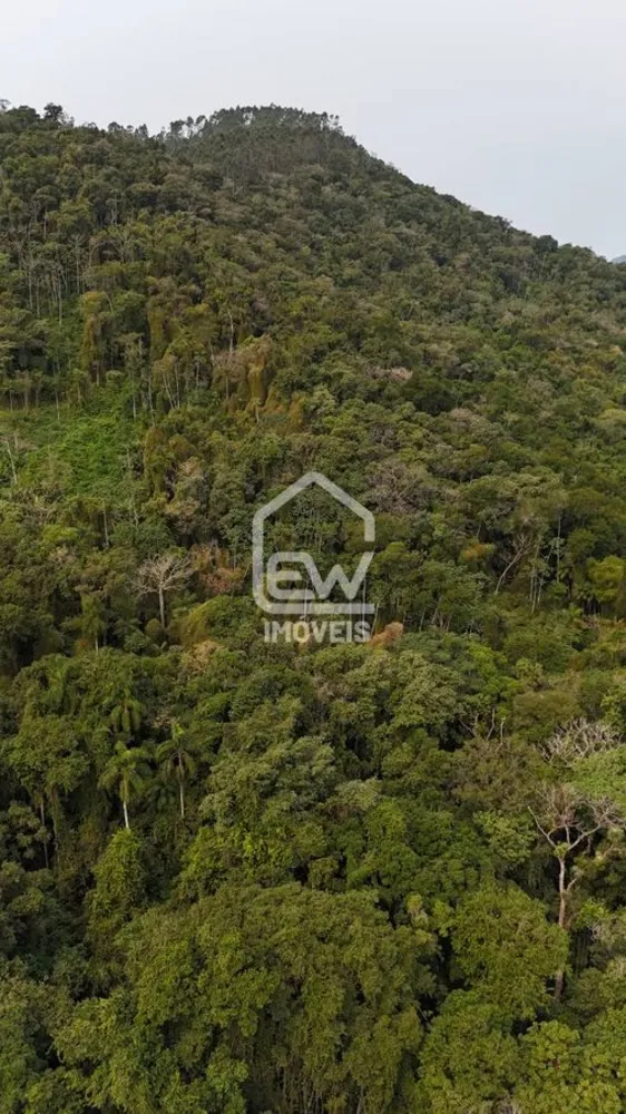 Terreno, 3 hectares - Foto 10