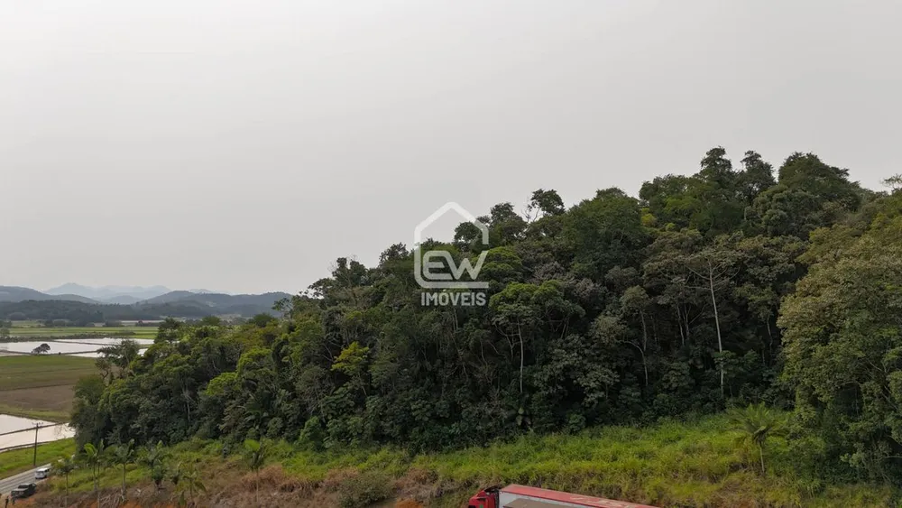 Terreno, 3 hectares - Foto 4