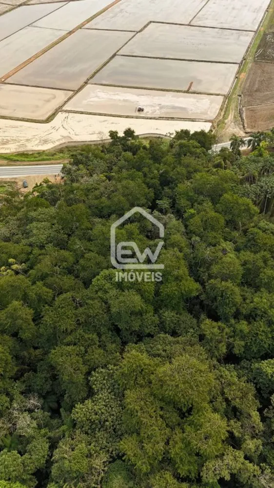 Terreno, 3 hectares - Foto 9