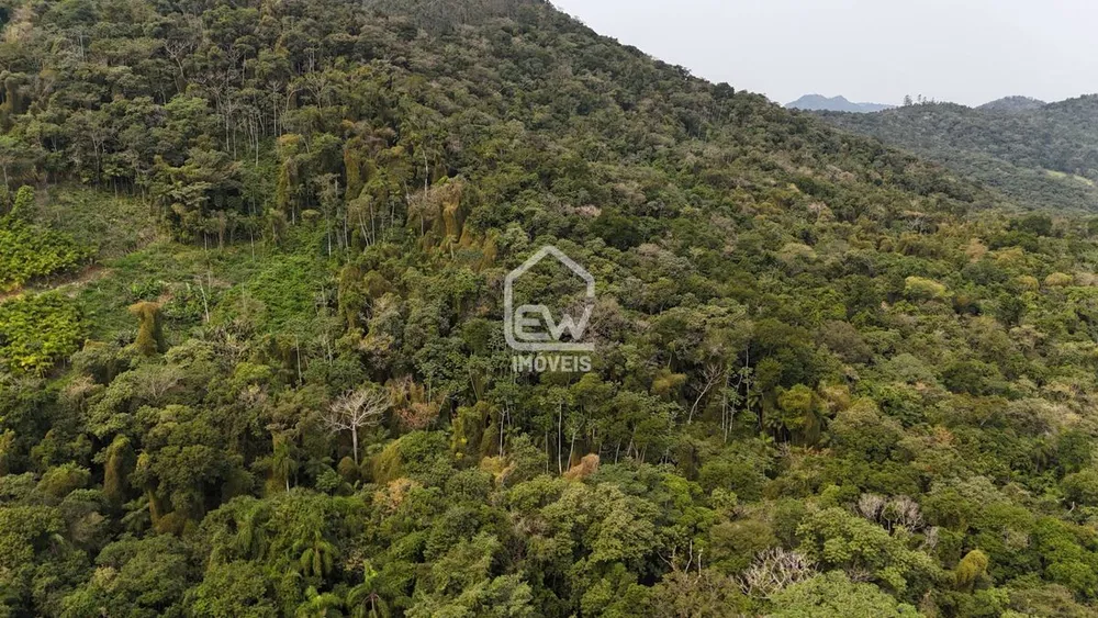Terreno, 3 hectares - Foto 3