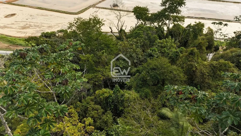 Terreno, 3 hectares - Foto 7