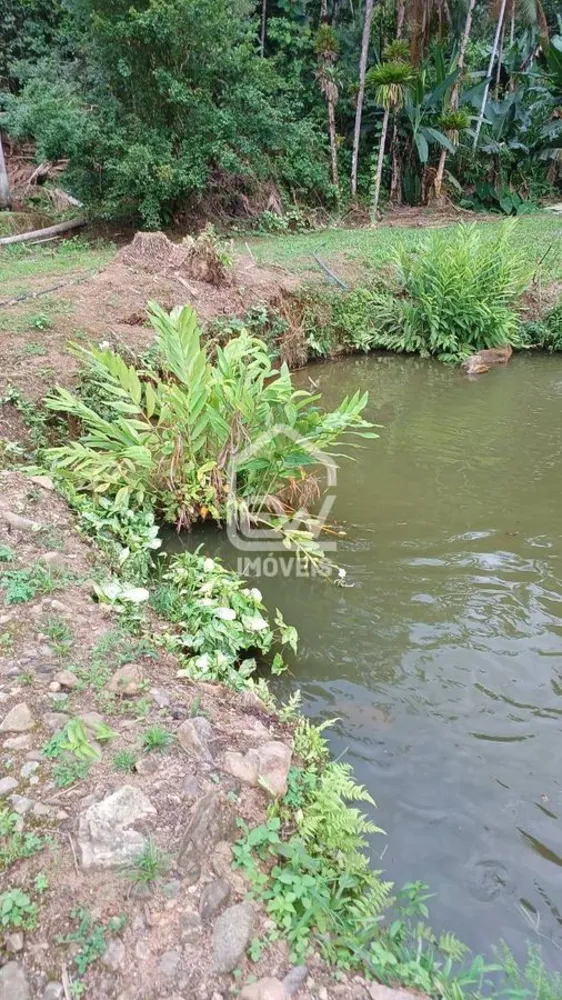Chácara, 2 quartos, 2 hectares - Foto 4