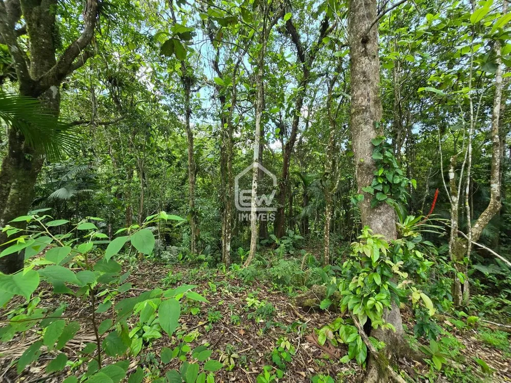 Chácara, 1 quarto, 2 hectares - Foto 7