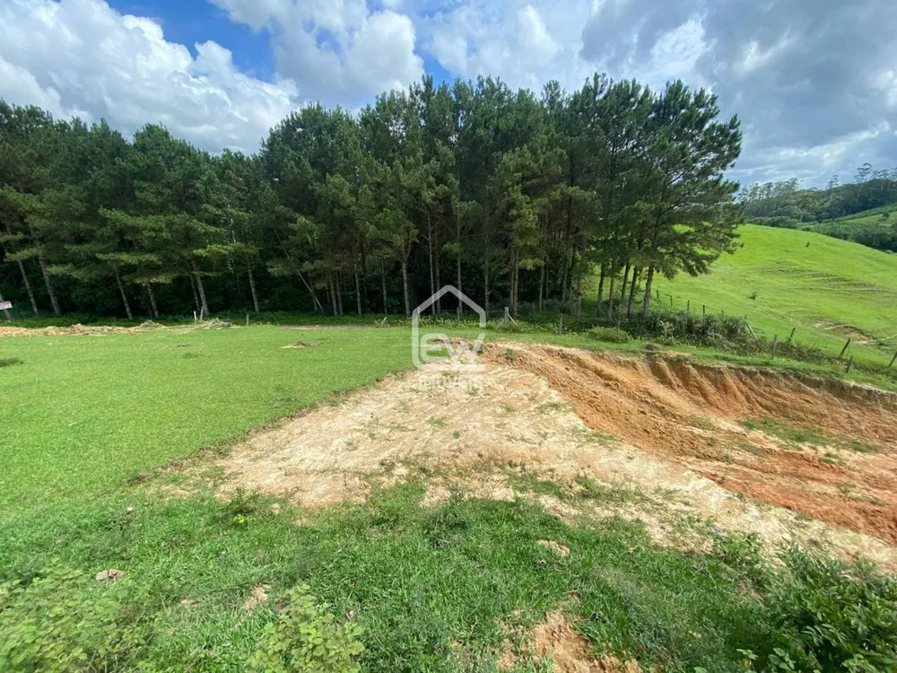 Terreno, 6 hectares - Foto 6