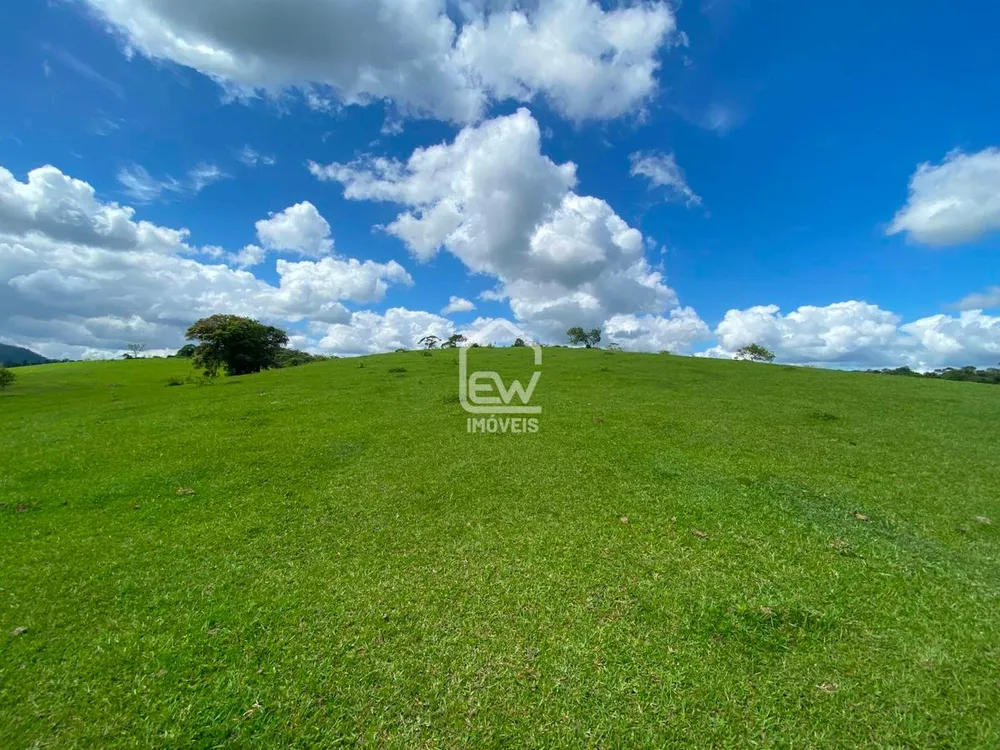 Terreno, 6 hectares - Foto 4