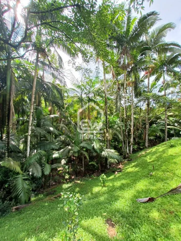 Chácara, 2 quartos, 3 hectares - Foto 8