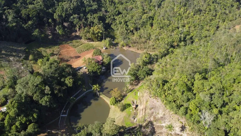 Chácara, 4 quartos, 3 hectares - Foto 3