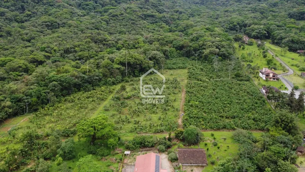 Terreno, 4 hectares - Foto 4