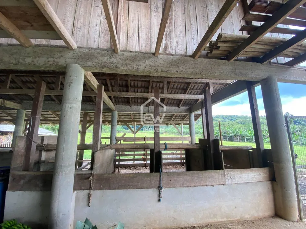 Chácara, 3 quartos, 4 hectares - Foto 11