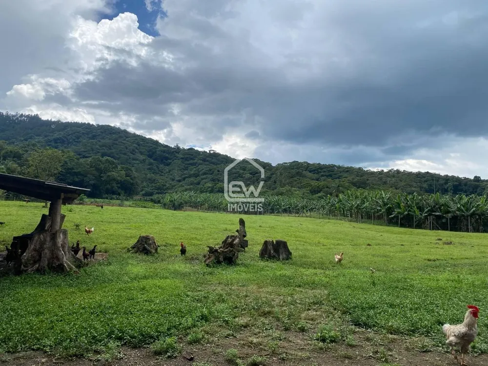 Chácara, 3 quartos, 4 hectares - Foto 12