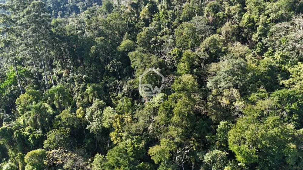 Terreno, 2 hectares - Foto 8