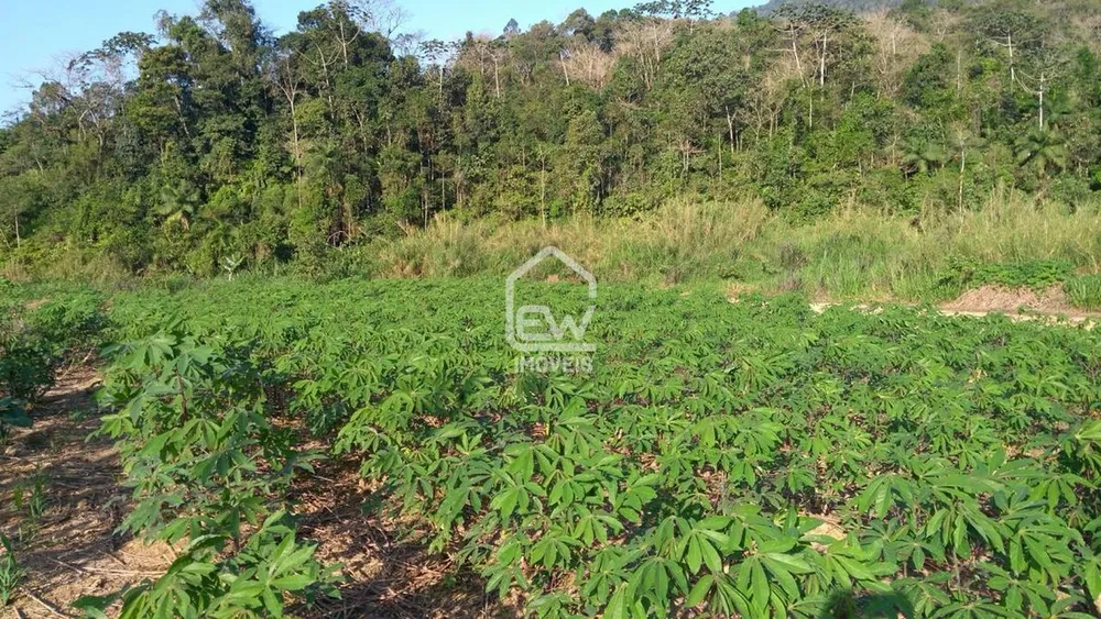 Sítio, 3 quartos, 4 hectares - Foto 16