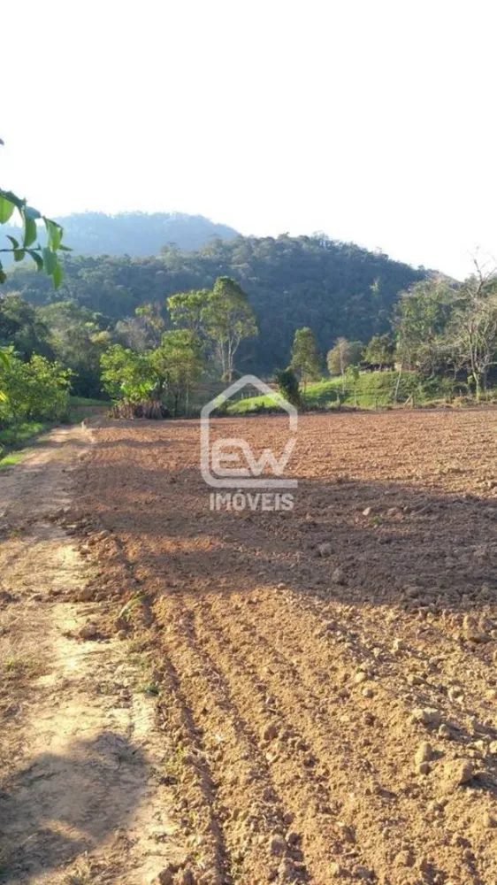 Sítio, 3 quartos, 4 hectares - Foto 4