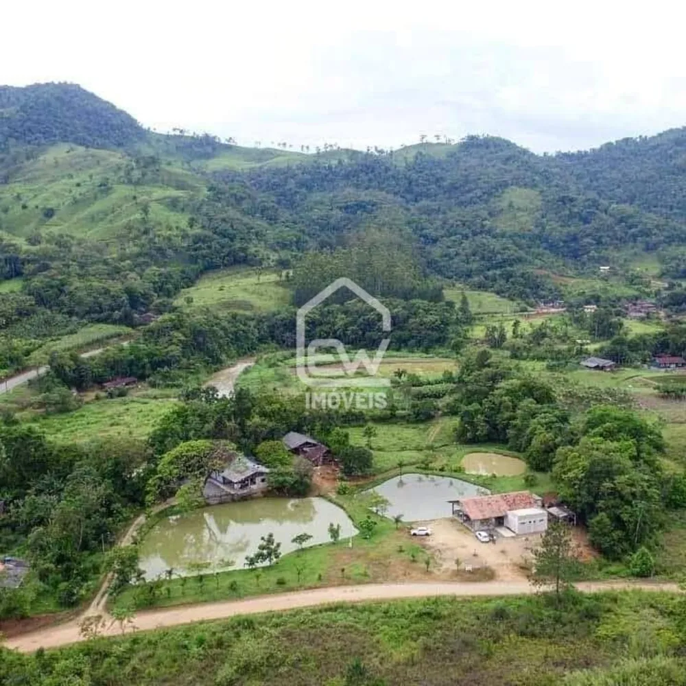 Sítio, 3 quartos, 4 hectares - Foto 1