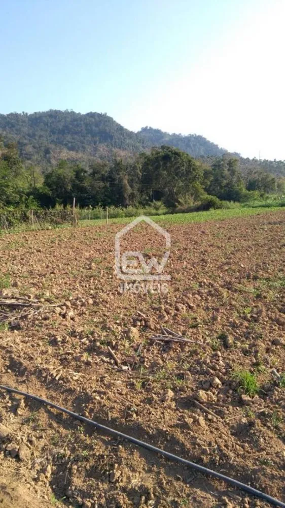 Sítio, 3 quartos, 4 hectares - Foto 15