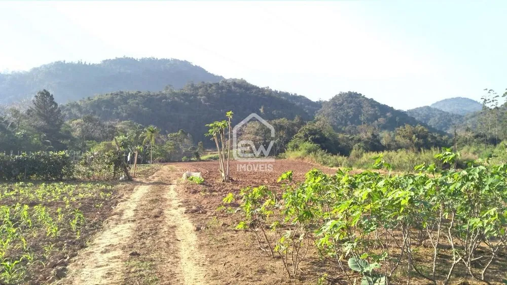 Sítio, 3 quartos, 4 hectares - Foto 9