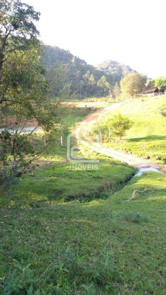 Sítio, 3 quartos, 4 hectares - Foto 12