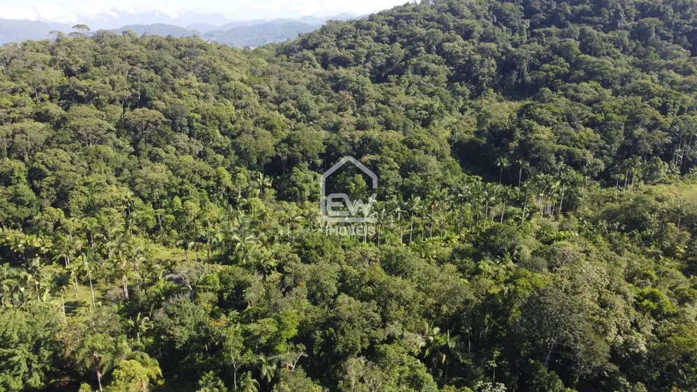 Sítio, 1 quarto, 31 hectares - Foto 14