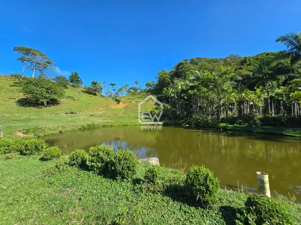 Sítio, 1 quarto, 31 hectares - Foto 4
