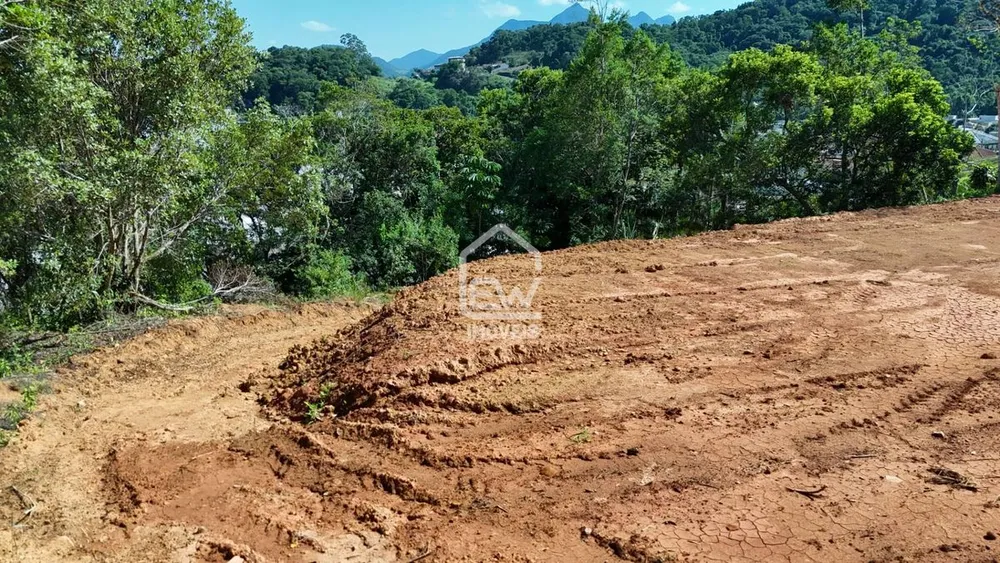 Terreno, 3557 m² - Foto 6