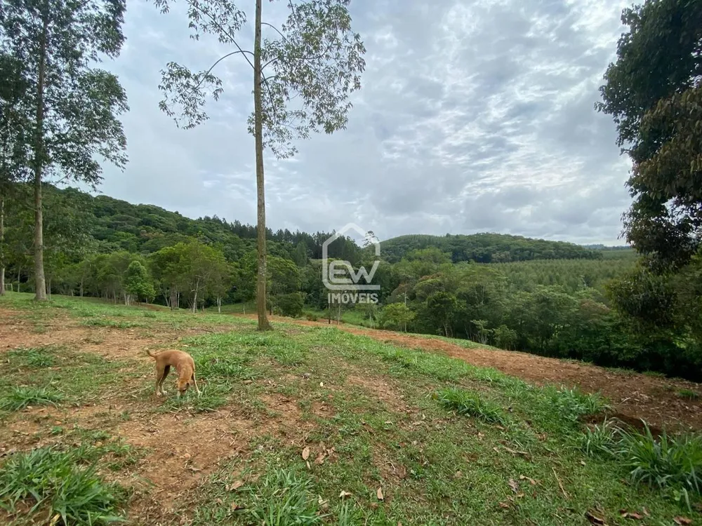 Chácara, 3 quartos, 2 hectares - Foto 11