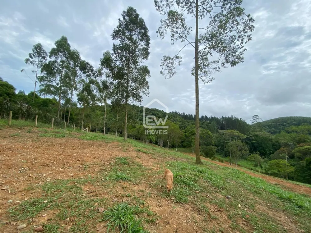 Chácara, 3 quartos, 2 hectares - Foto 12