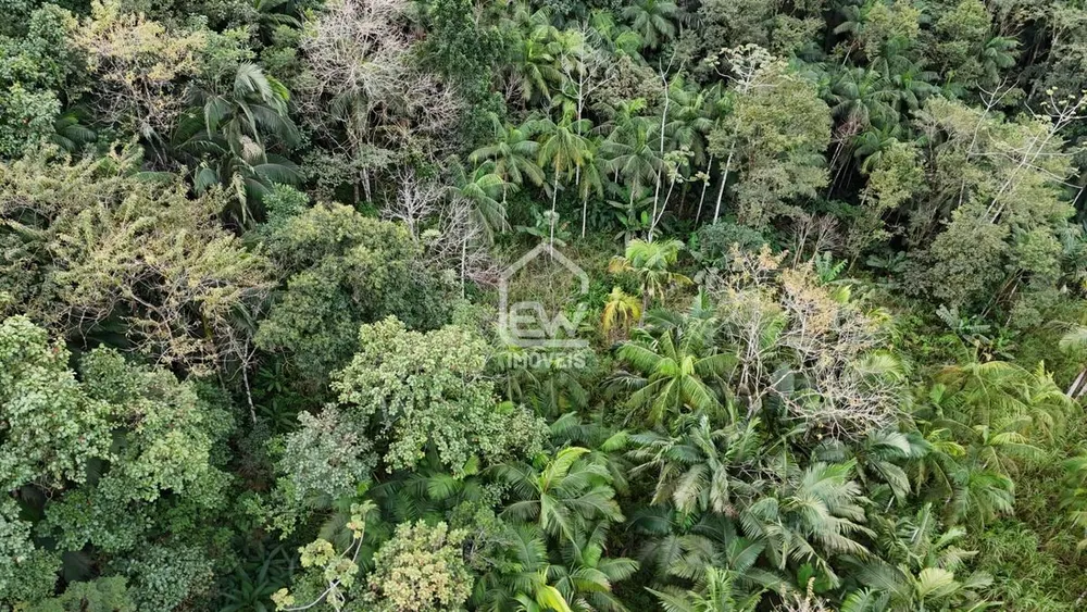 Chácara, 1 quarto, 2 hectares - Foto 4