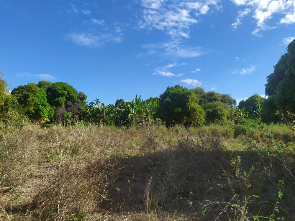 Fazenda à venda com 3 quartos, 3000m² - Foto 3