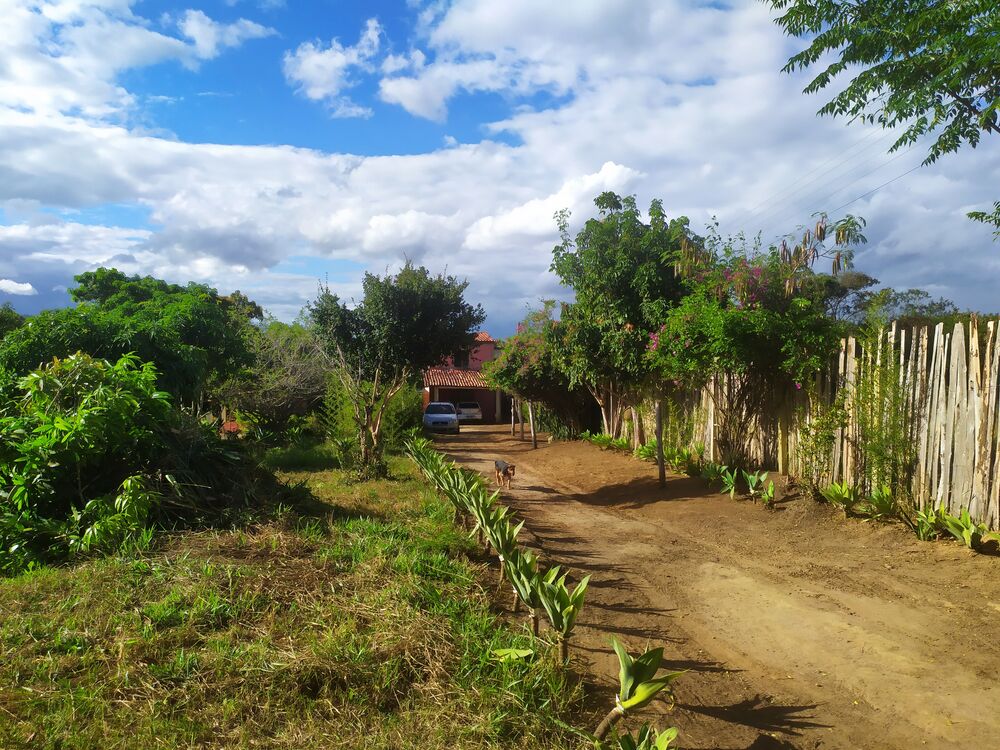 Fazenda à venda com 3 quartos, 3000m² - Foto 4