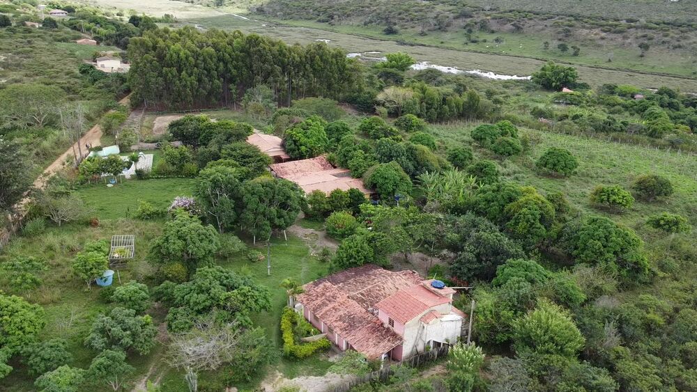 Fazenda à venda com 3 quartos, 3000m² - Foto 14