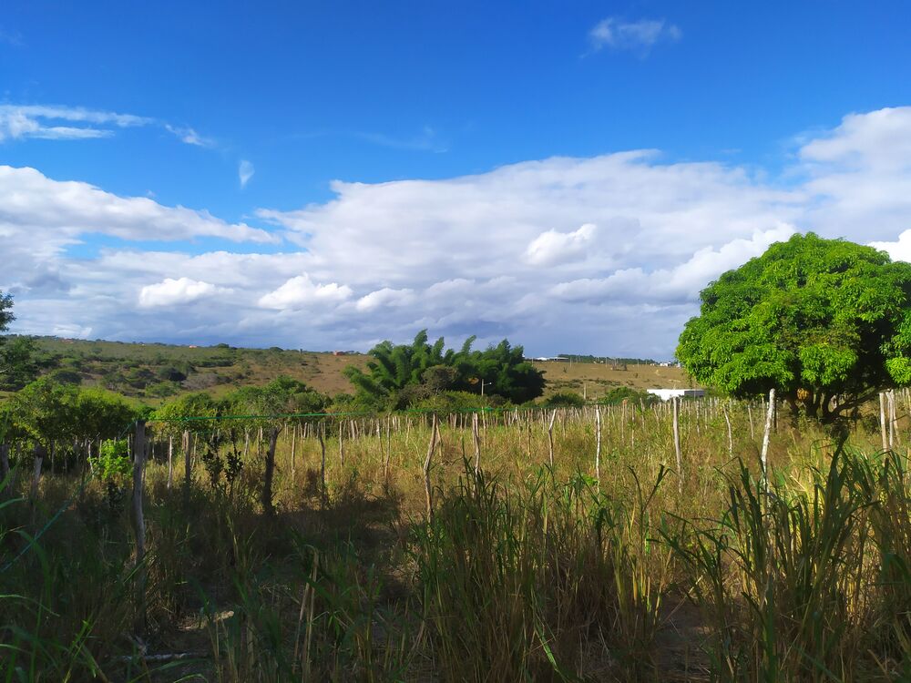 Fazenda à venda com 3 quartos, 3000m² - Foto 2