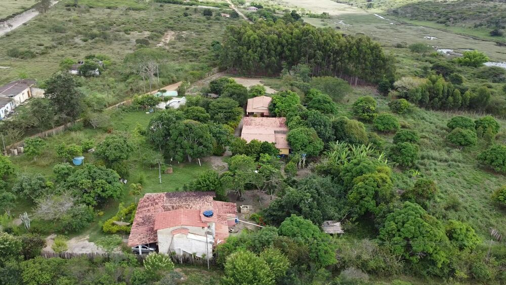 Fazenda à venda com 3 quartos, 3000m² - Foto 15