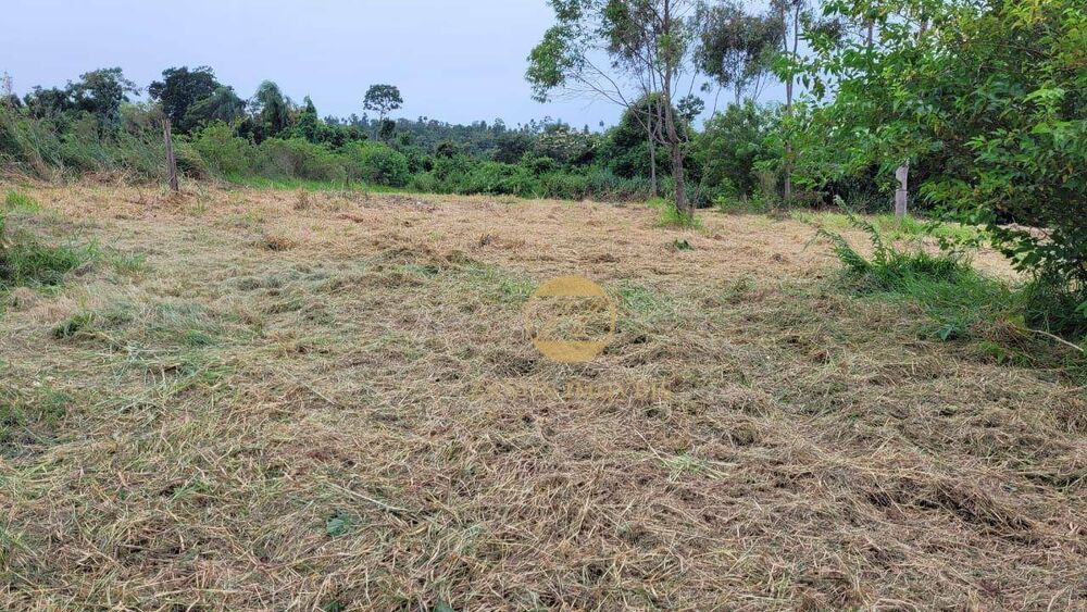 Sítio, 2 hectares - Foto 3