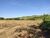Sítio, 4 hectares - Foto 1