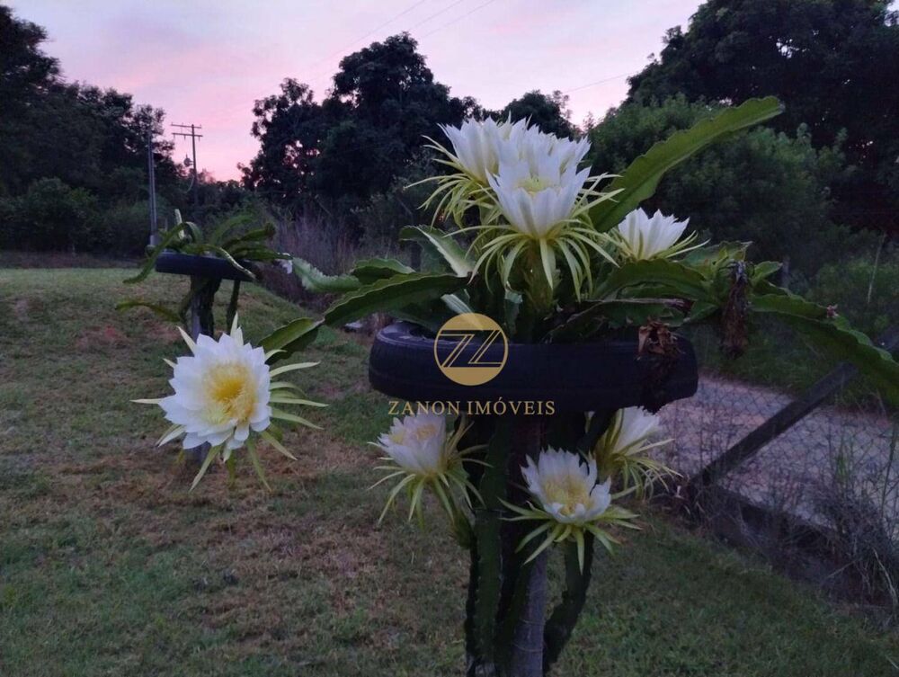 Sítio, 2 quartos, 2 hectares - Foto 5