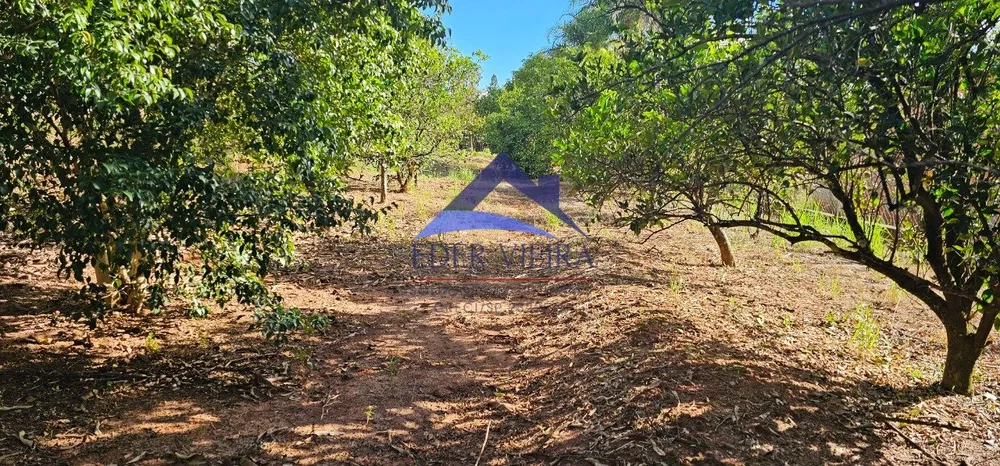Chácara, 2400 m² - Foto 4
