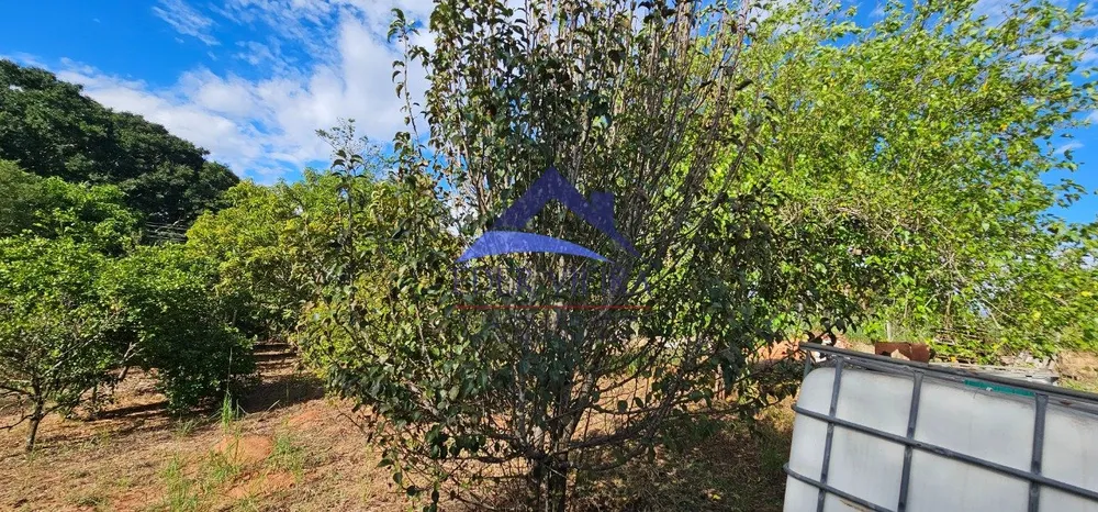 Chácara, 2400 m² - Foto 2