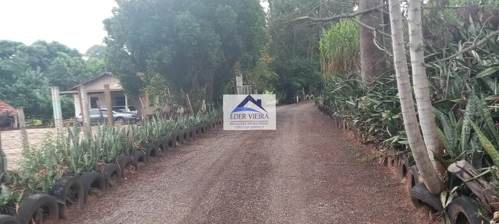 Chácara, 4 quartos, 9 hectares - Foto 4