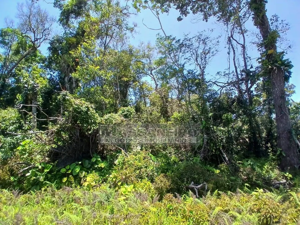 Terreno, 360 m² - Foto 1