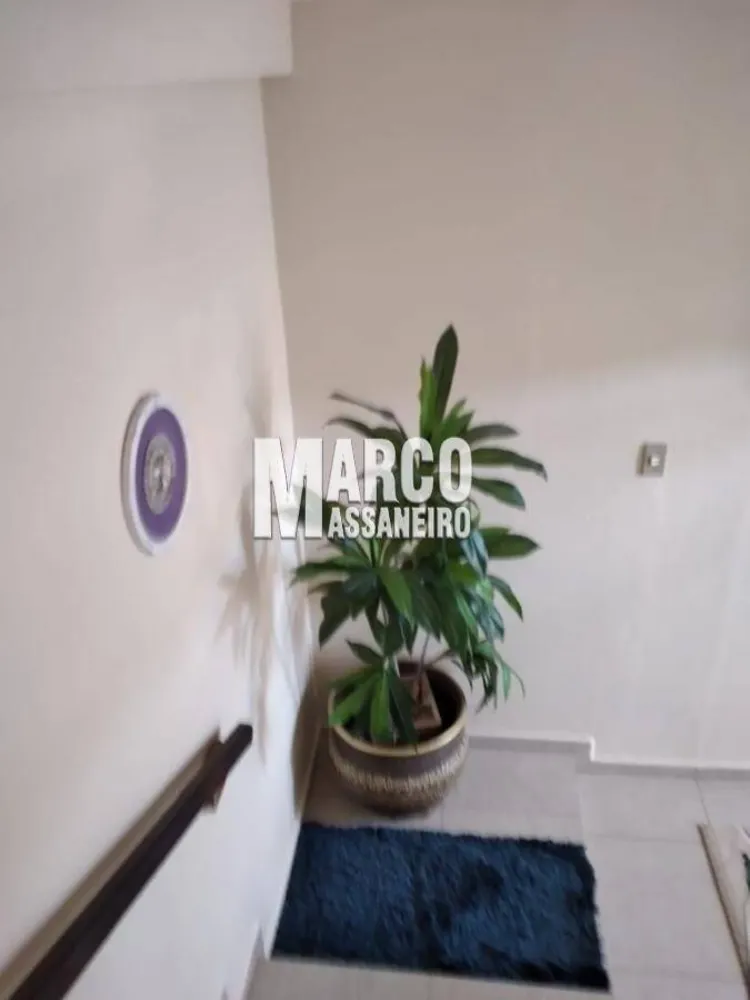Casa, 3 quartos, 500 m² - Foto 3