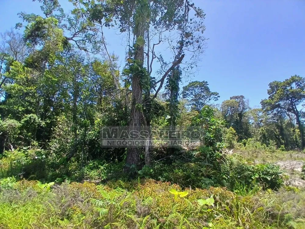 Terreno, 300 m² - Foto 1
