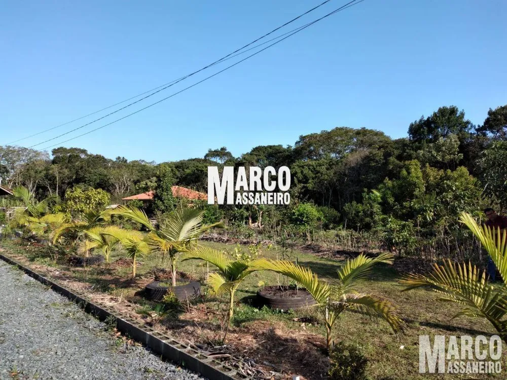 Chácara, 3 quartos, 3892 m² - Foto 10