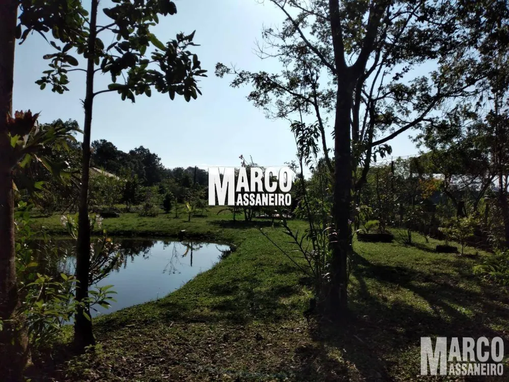Chácara, 3 quartos, 3892 m² - Foto 6