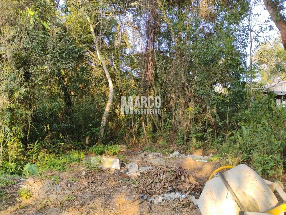 Terreno, 3646 m² - Foto 7