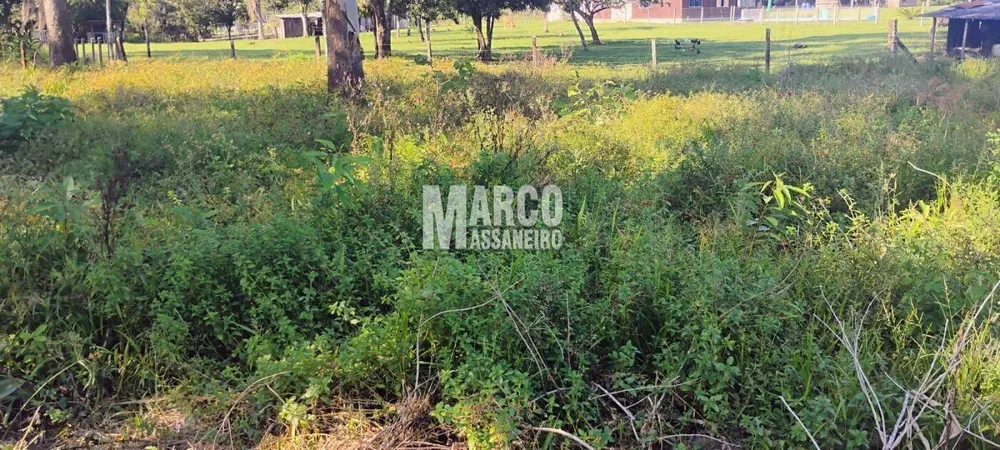 Terreno, 2000 m² - Foto 7