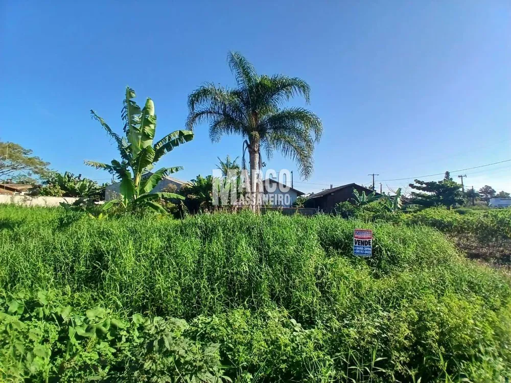 Terreno, 345 m² - Foto 11
